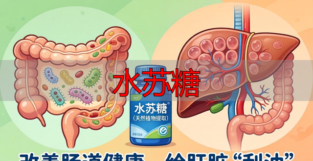 水苏糖